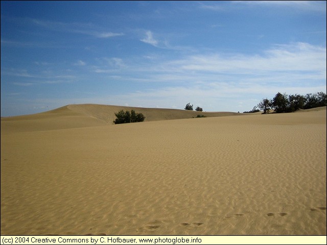 In the Dunes of Maspalomas II