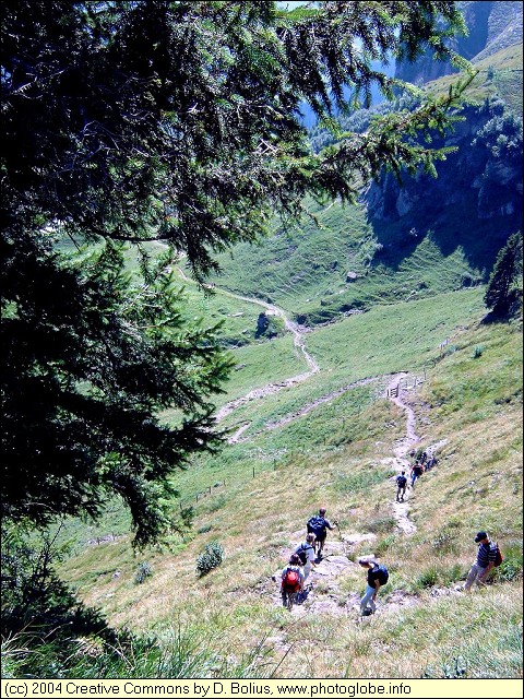 Klewenalp: Descent to Gitschenen