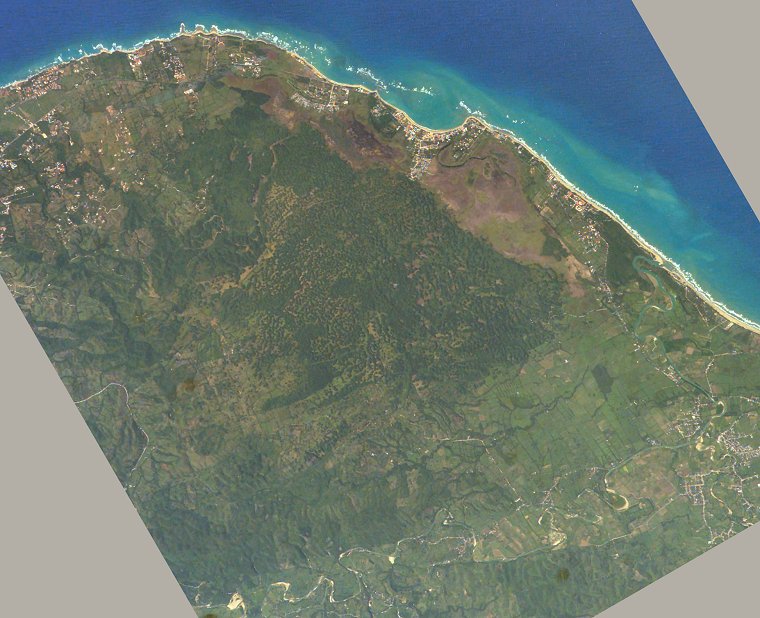 Cabarete Bay