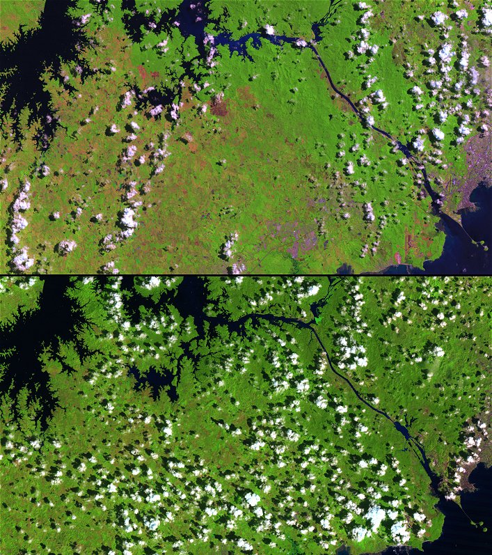 Deforestation around the Panama Canal