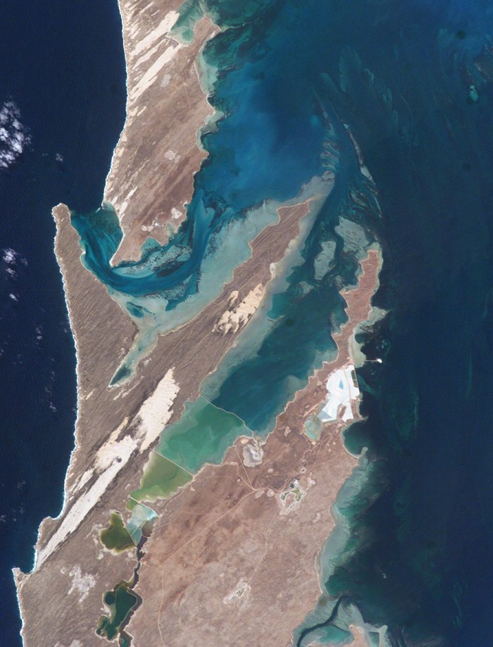 Shark Bay