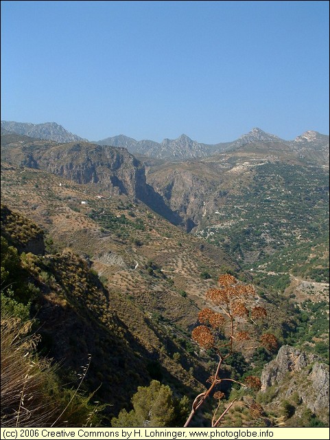 Sierra del Chaparral