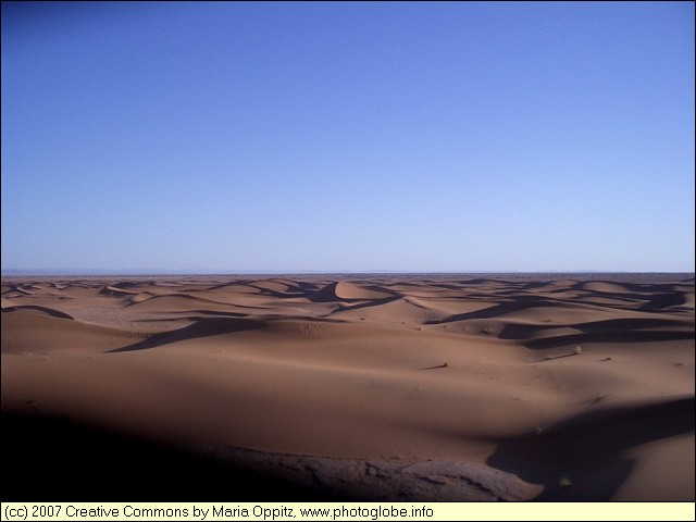 Sand Dunes in the Morning Sun