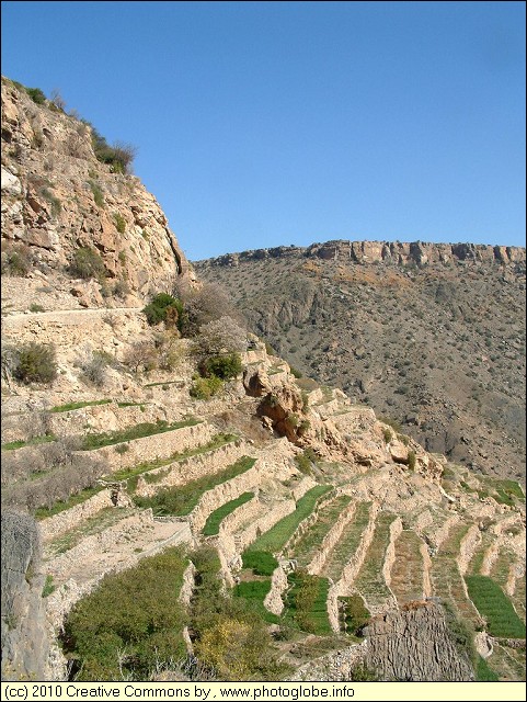 Terraces near Al'Ayn
